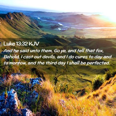 Picture 02 - Luke 13:32 KJV - And he said unto them, Go ye, and tell that fox, - Bible Verse Picture