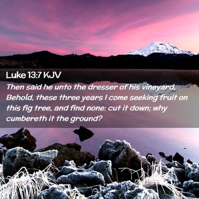 Picture 02 - Luke 13:7 KJV - Then said he unto the dresser of his vineyard, - Bible Verse Picture