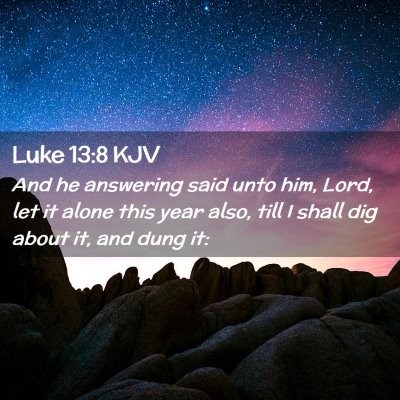Picture 02 - Luke 13:8 KJV - And he answering said unto him, Lord, let it - Bible Verse Picture