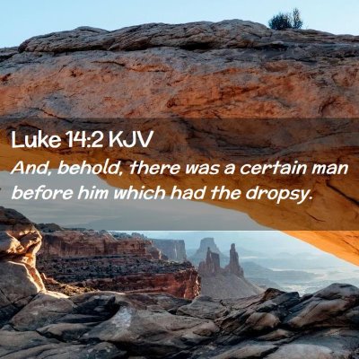 Picture 02 - Luke 14:2 KJV - And, behold, there was a certain man before him - Bible Verse Picture