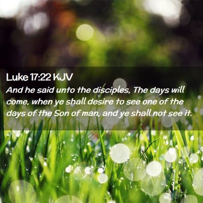Picture 02 - Luke 17:22 KJV - And he said unto the disciples, The days will - Bible Verse Picture