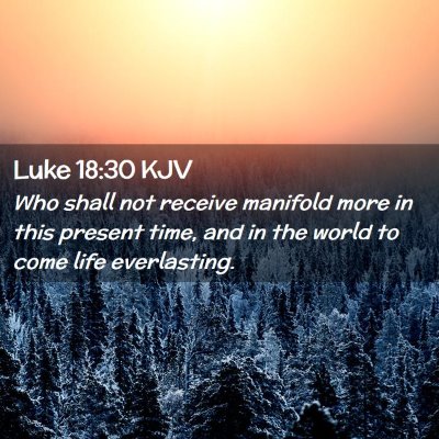 Picture 02 - Luke 18:30 KJV - Who shall not receive manifold more in this - Bible Verse Picture