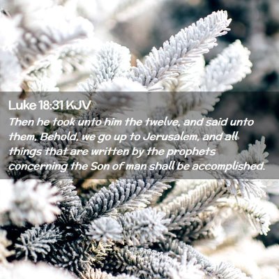 Picture 02 - Luke 18:31 KJV - Then he took unto him the twelve, and said unto - Bible Verse Picture