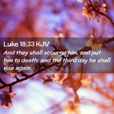 Picture 02 - Luke 18:33 KJV - And they shall scourge him, and put him to death: - Bible Verse Picture