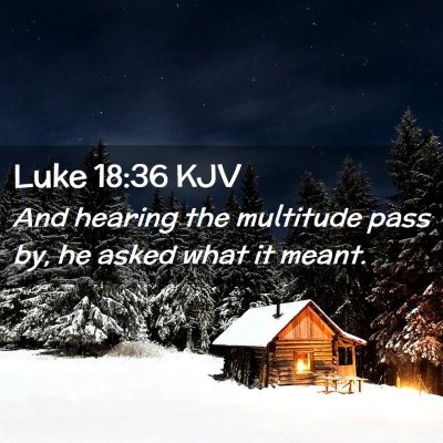 Picture 02 - Luke 18:36 KJV - And hearing the multitude pass by, he asked what - Bible Verse Picture
