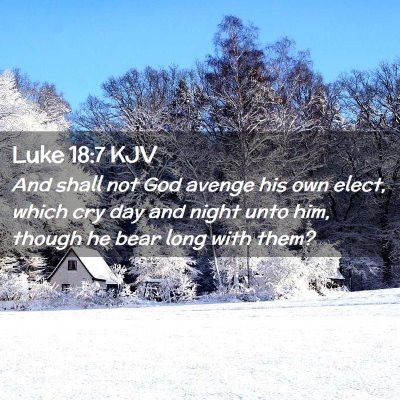 Picture 02 - Luke 18:7 KJV - And shall not God avenge his own elect, which cry - Bible Verse Picture