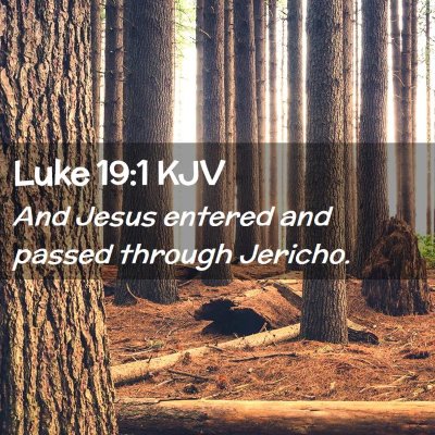 Picture 02 - Luke 19:1 KJV - And Jesus entered and passed through - Bible Verse Picture