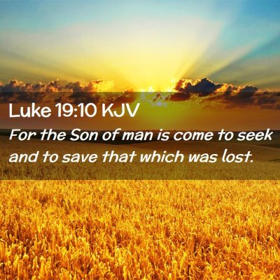 Picture 02 - Luke 19:10 KJV - For the Son of man is come to seek and to save - Bible Verse Picture