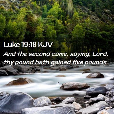 Picture 02 - Luke 19:18 KJV - And the second came, saying, Lord, thy pound hath - Bible Verse Picture
