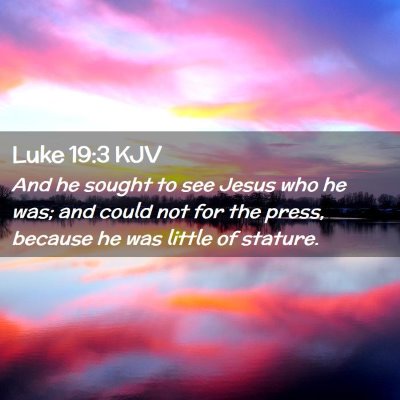 Picture 02 - Luke 19:3 KJV - And he sought to see Jesus who he was; and could - Bible Verse Picture