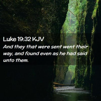 Picture 02 - Luke 19:32 KJV - And they that were sent went their way, and found - Bible Verse Picture