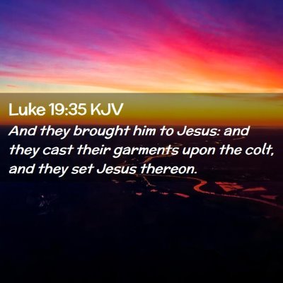 Picture 02 - Luke 19:35 KJV - And they brought him to Jesus: and they cast - Bible Verse Picture