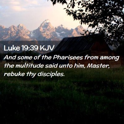 Picture 02 - Luke 19:39 KJV - And some of the Pharisees from among the - Bible Verse Picture