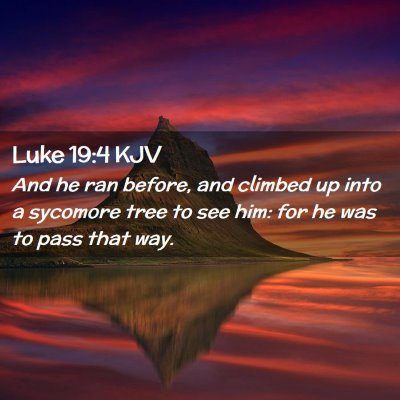 Picture 02 - Luke 19:4 KJV - And he ran before, and climbed up into a sycomore - Bible Verse Picture