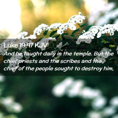 Picture 02 - Luke 19:47 KJV - And he taught daily in the temple. But the chief - Bible Verse Picture