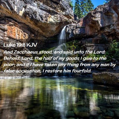 Picture 02 - Luke 19:8 KJV - And Zacchaeus stood, and said unto the Lord: - Bible Verse Picture
