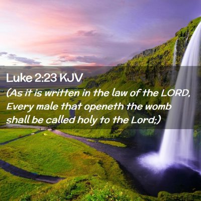 Picture 02 - Luke 2:23 KJV - (As it is written in the law of the LORD, Every - Bible Verse Picture