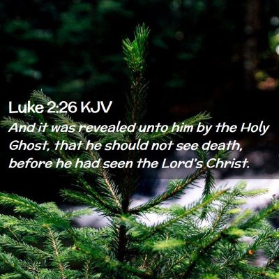 Picture 02 - Luke 2:26 KJV - And it was revealed unto him by the Holy Ghost, - Bible Verse Picture