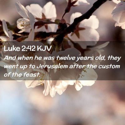 Picture 02 - Luke 2:42 KJV - And when he was twelve years old, they went up to - Bible Verse Picture