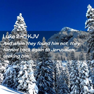Picture 02 - Luke 2:45 KJV - And when they found him not, they turned back - Bible Verse Picture