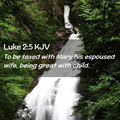 Picture 02 - Luke 2:5 KJV - To be taxed with Mary his espoused wife, being - Bible Verse Picture