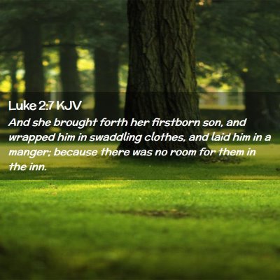 Picture 02 - Luke 2:7 KJV - And she brought forth her firstborn son, and - Bible Verse Picture