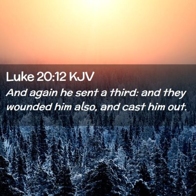 Picture 02 - Luke 20:12 KJV - And again he sent a third: and they wounded him - Bible Verse Picture