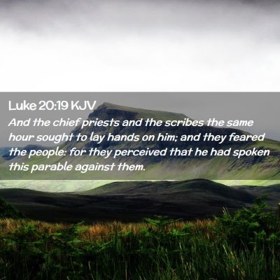 Picture 02 - Luke 20:19 KJV - And the chief priests and the scribes the same - Bible Verse Picture