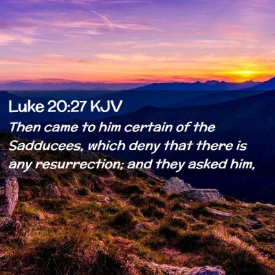 Picture 02 - Luke 20:27 KJV - Then came to him certain of the Sadducees, which - Bible Verse Picture