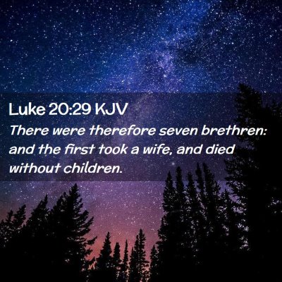 Picture 02 - Luke 20:29 KJV - There were therefore seven brethren: and the - Bible Verse Picture
