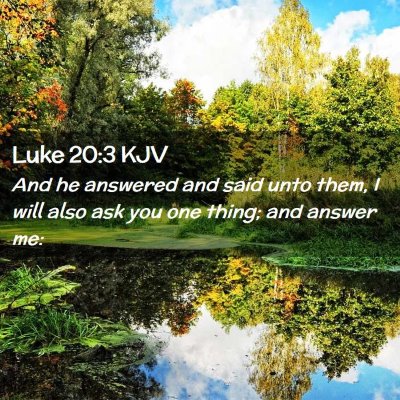 Picture 02 - Luke 20:3 KJV - And he answered and said unto them, I will also - Bible Verse Picture