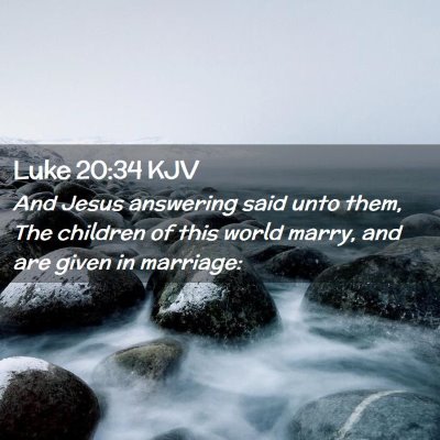Picture 02 - Luke 20:34 KJV - And Jesus answering said unto them, The children - Bible Verse Picture
