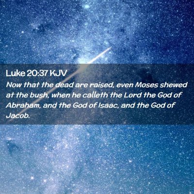 Picture 02 - Luke 20:37 KJV - Now that the dead are raised, even Moses shewed - Bible Verse Picture