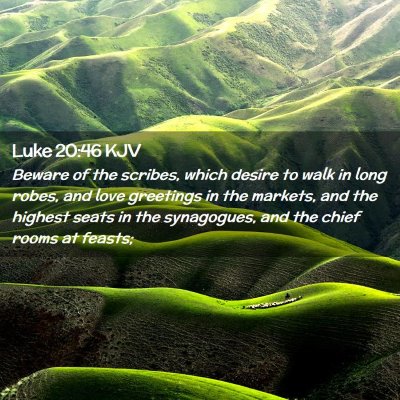 Picture 02 - Luke 20:46 KJV - Beware of the scribes, which desire to walk in - Bible Verse Picture