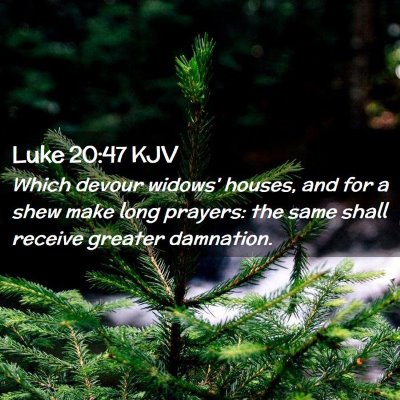 Picture 02 - Luke 20:47 KJV - Which devour widows' houses, and for a shew make - Bible Verse Picture