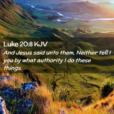 Picture 02 - Luke 20:8 KJV - And Jesus said unto them, Neither tell I you by - Bible Verse Picture