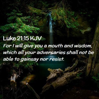Picture 02 - Luke 21:15 KJV - For I will give you a mouth and wisdom, which all - Bible Verse Picture
