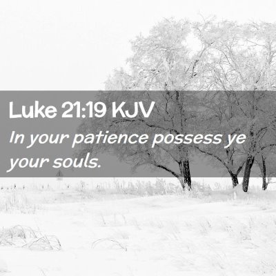 Picture 02 - Luke 21:19 KJV - In your patience possess ye your - Bible Verse Picture