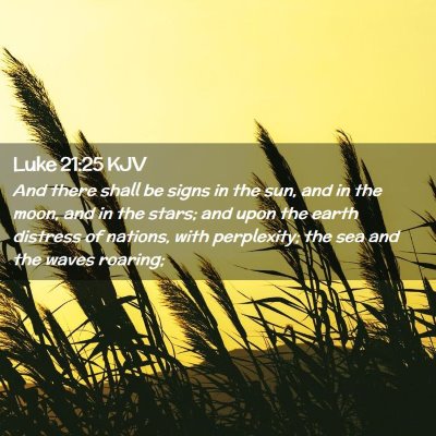 Picture 02 - Luke 21:25 KJV - And there shall be signs in the sun, and in the - Bible Verse Picture