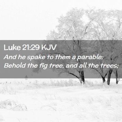 Picture 02 - Luke 21:29 KJV - And he spake to them a parable; Behold the fig - Bible Verse Picture