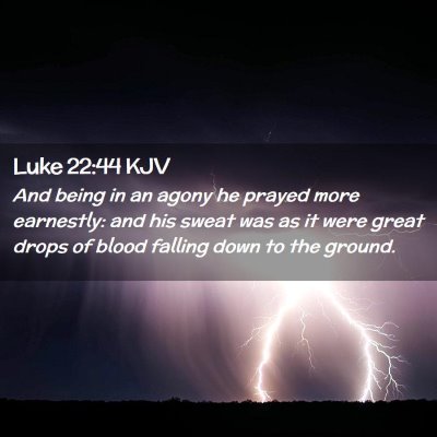 Picture 02 - Luke 22:44 KJV - And being in an agony he prayed more earnestly: - Bible Verse Picture