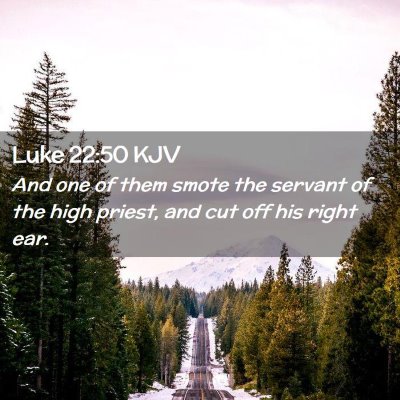 Picture 02 - Luke 22:50 KJV - And one of them smote the servant of the high - Bible Verse Picture