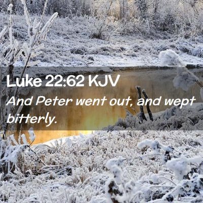 Picture 02 - Luke 22:62 KJV - And Peter went out, and wept - Bible Verse Picture