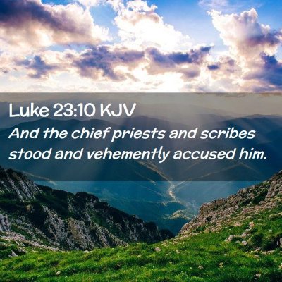 Picture 02 - Luke 23:10 KJV - And the chief priests and scribes stood and - Bible Verse Picture