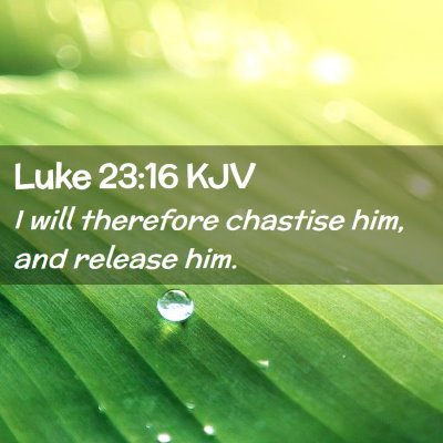 Picture 02 - Luke 23:16 KJV - I will therefore chastise him, and release - Bible Verse Picture