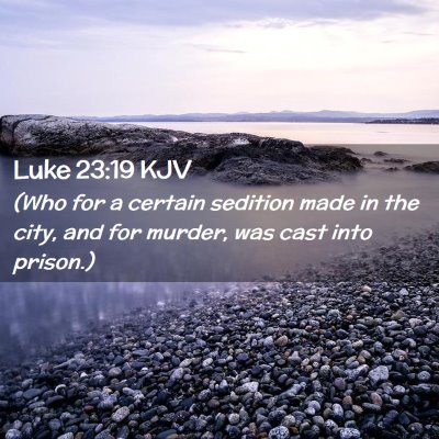 Picture 02 - Luke 23:19 KJV - (Who for a certain sedition made in the city, and - Bible Verse Picture