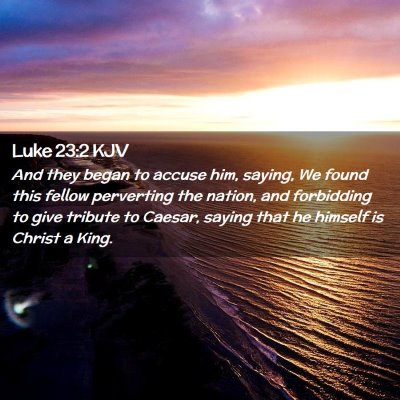 Picture 02 - Luke 23:2 KJV - And they began to accuse him, saying, We found - Bible Verse Picture