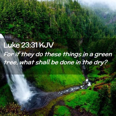 Picture 02 - Luke 23:31 KJV - For if they do these things in a green tree, what - Bible Verse Picture