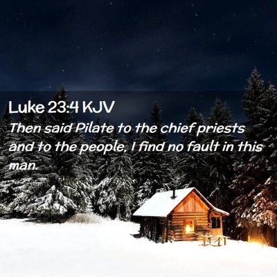 Picture 02 - Luke 23:4 KJV - Then said Pilate to the chief priests and to the - Bible Verse Picture