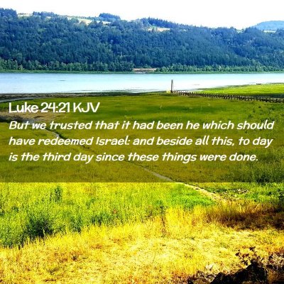 Picture 02 - Luke 24:21 KJV - But we trusted that it had been he which should - Bible Verse Picture